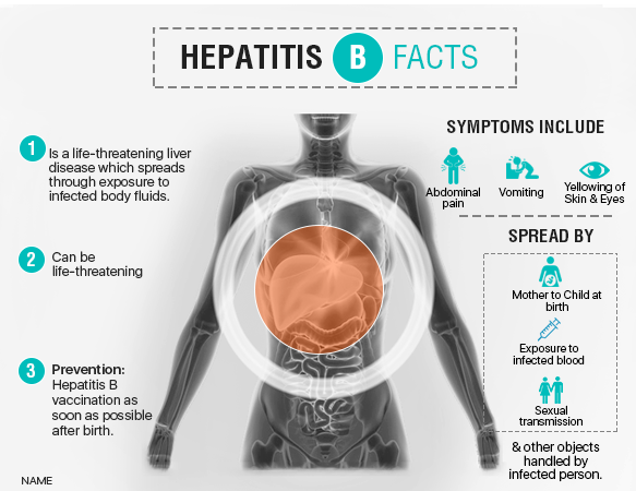 hepatitis b treatment drugs